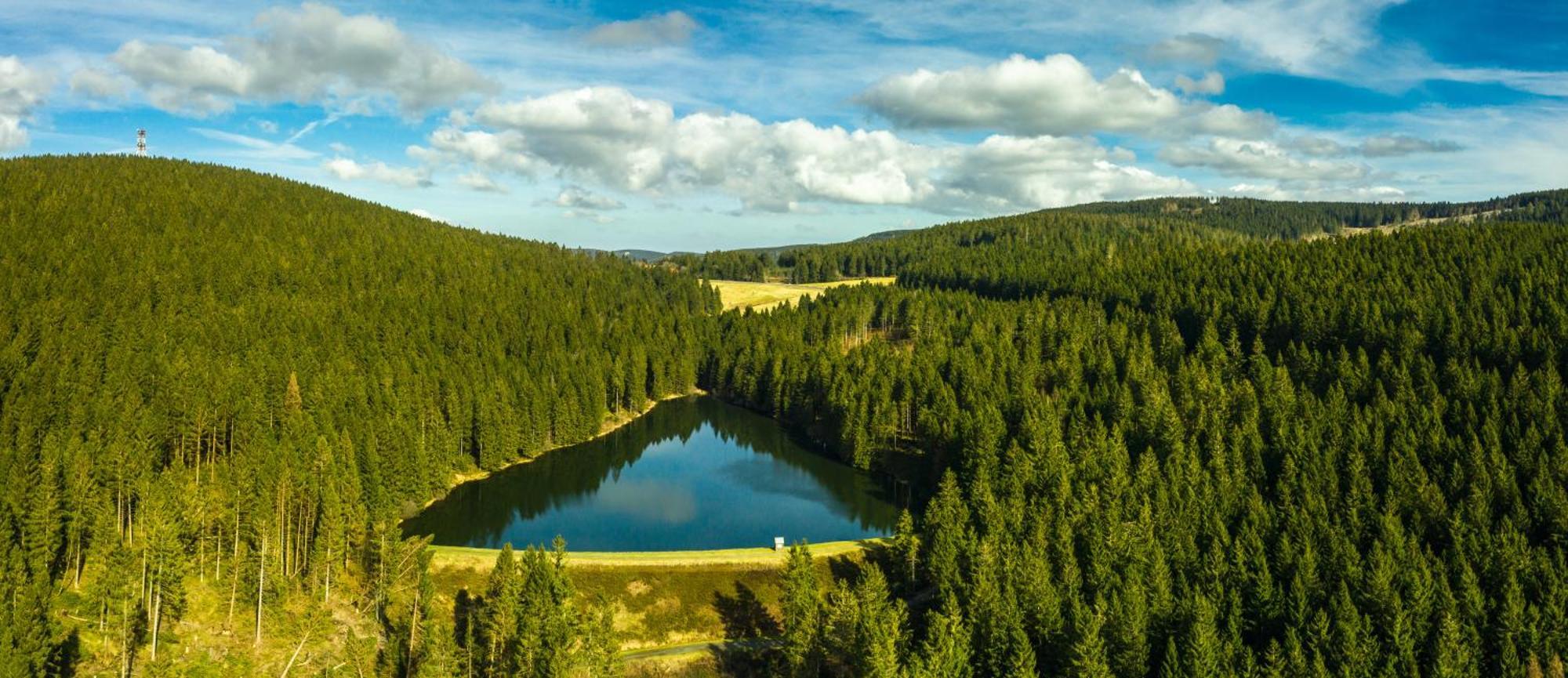 Modern & Vintage Bocksbergblick Ferienpark Hahnenklee Goslar Zewnętrze zdjęcie