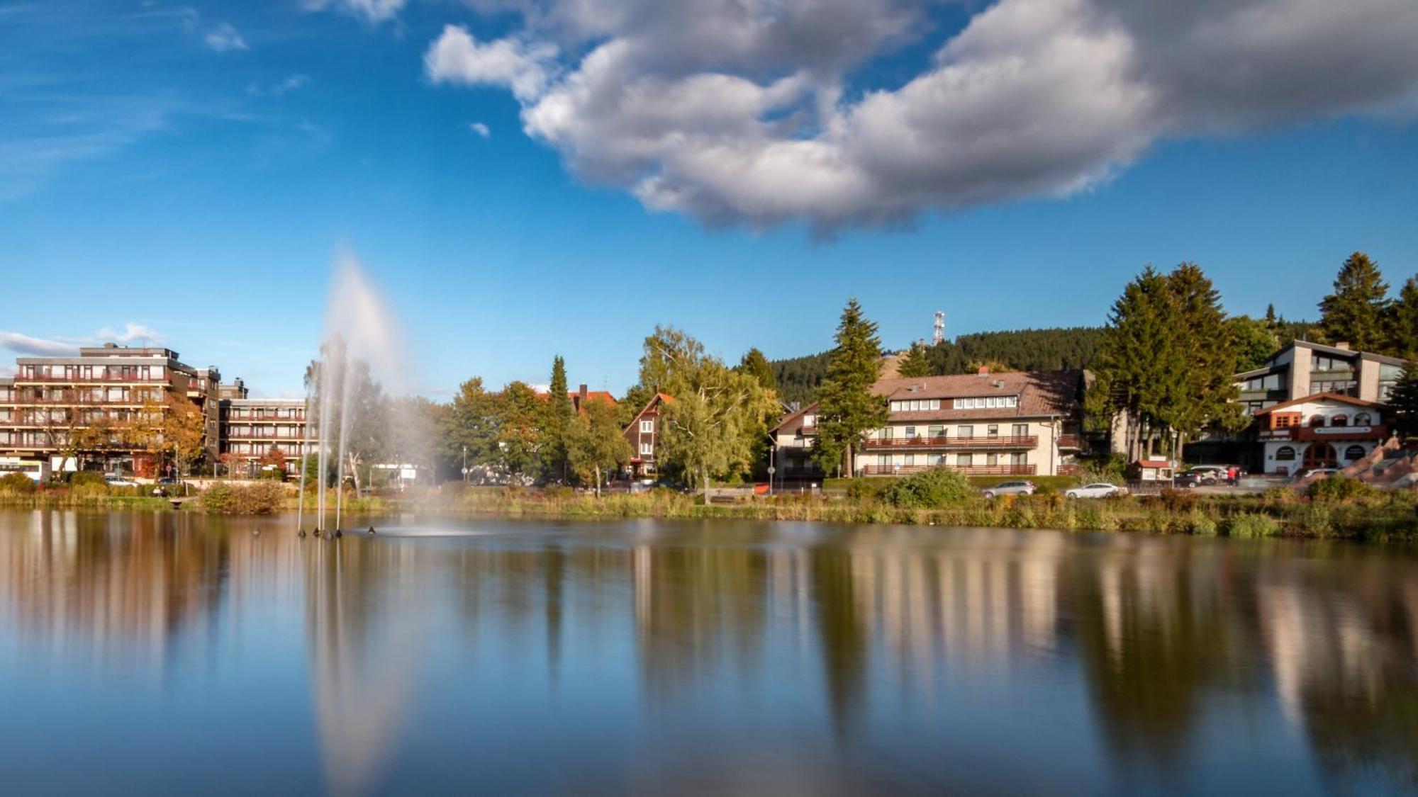 Modern & Vintage Bocksbergblick Ferienpark Hahnenklee Goslar Zewnętrze zdjęcie