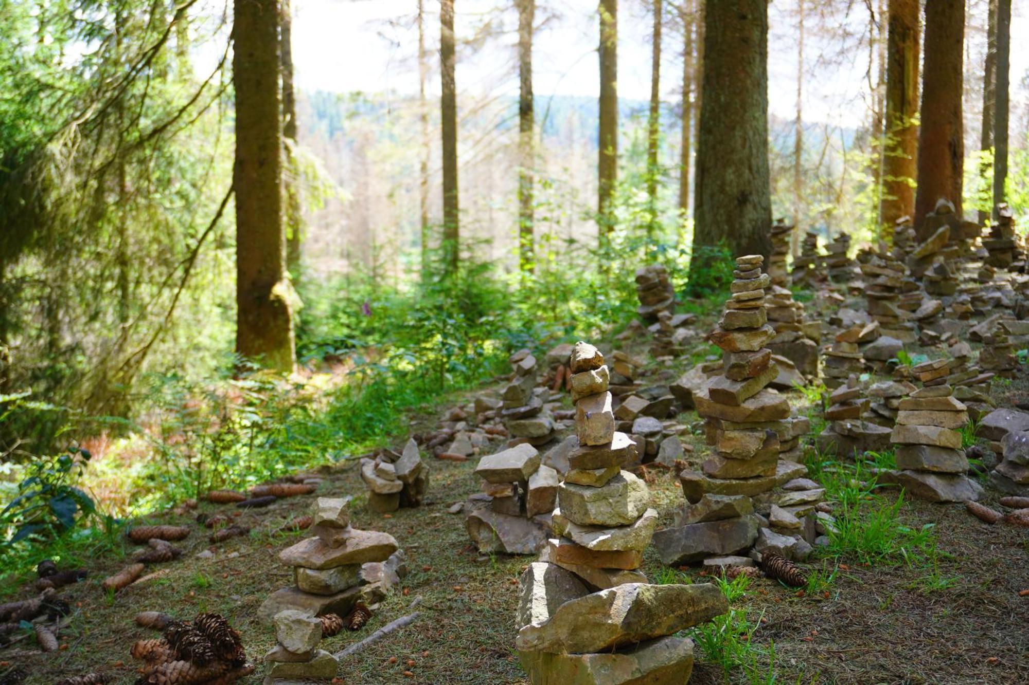 Modern & Vintage Bocksbergblick Ferienpark Hahnenklee Goslar Zewnętrze zdjęcie